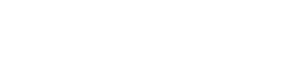 Surefire Systems